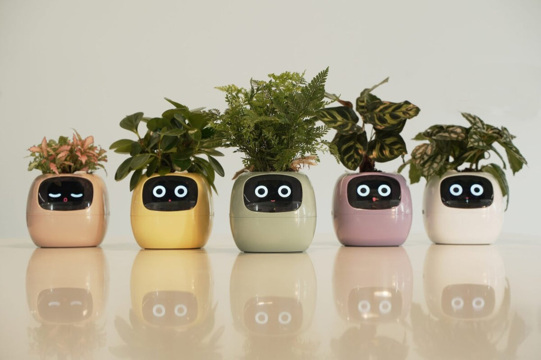 IVY Smart Planter: Making Plant Care Easy and Fun