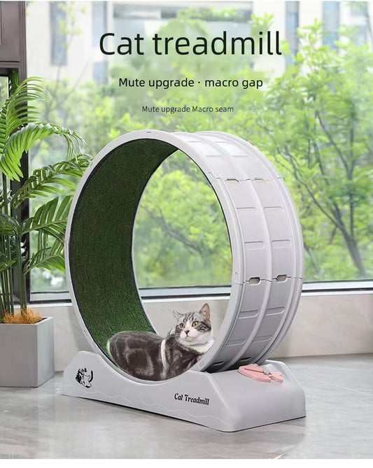 Cat silent roller treadmill sports cat running wheel plastic grinding claw does not get stuck pet cat climbing frame