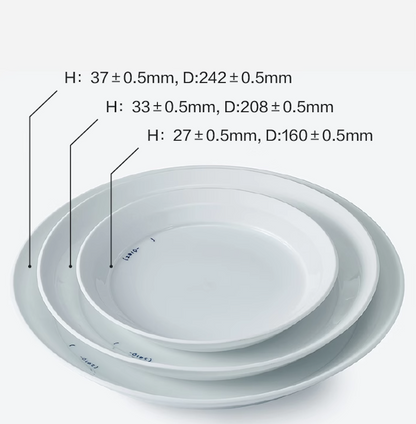 Jingdezhen White Plate